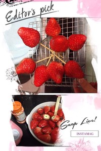 巧克力草莓棒棒糖的做法 步骤1