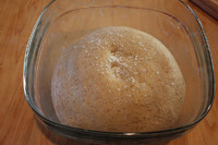 【Sourdough】天然酵种红薯欧包（附不同割包刀片使用体会）的做法 步骤7