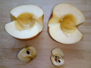 蒸苹果(易消化,止泻)的做法
