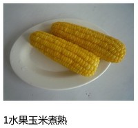 教你制作营养又美味的玉米烙，非常好吃，简单又方便的中国式甜点，快动起手来~的做法 步骤1