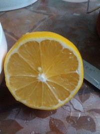 冰糖炖柠檬的做法 步骤1